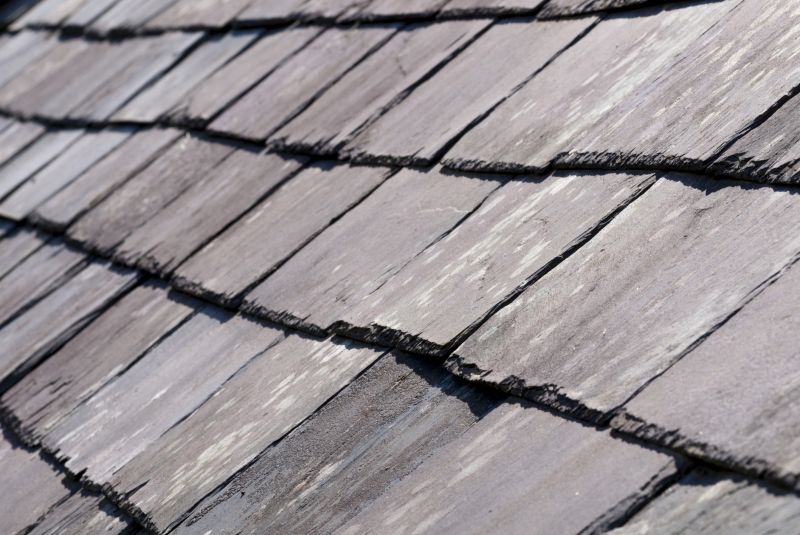 Slate Roofing Service in Alexandria, VA